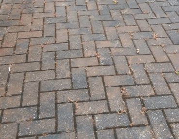 Driveway before cleaning